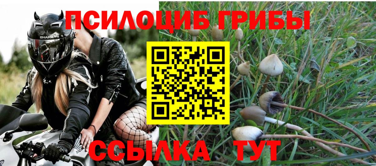 Галлюциногенные грибы ЛСД Лениногорск