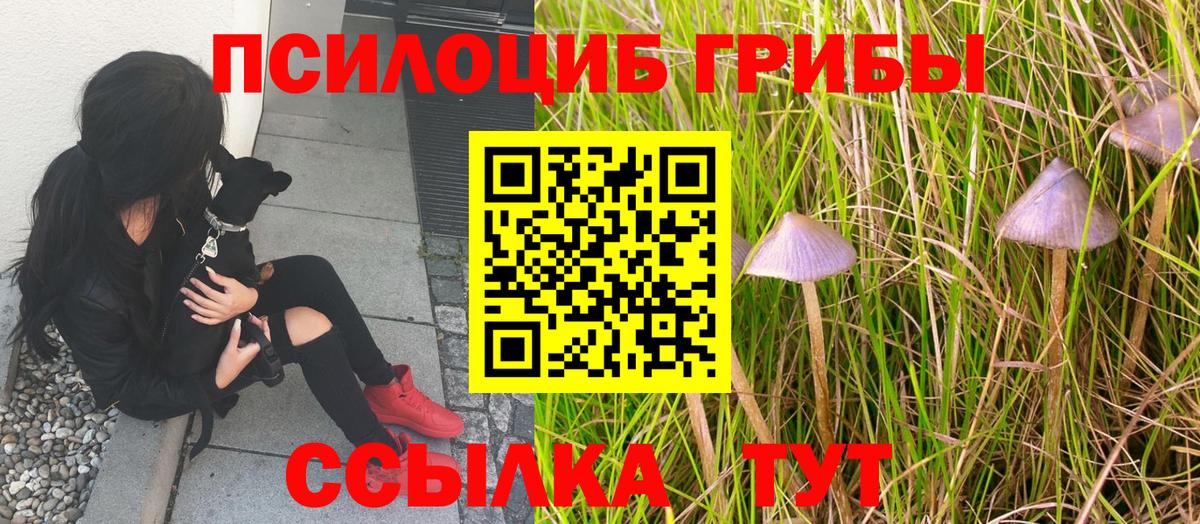Галлюциногенные грибы Magic Shrooms  Вход с VPN  купить закладку  Лениногорск  Галлюциногенные грибы мухоморы 